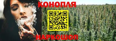 гидропоника Будённовск