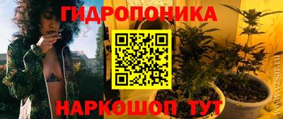 гидропоника Будённовск