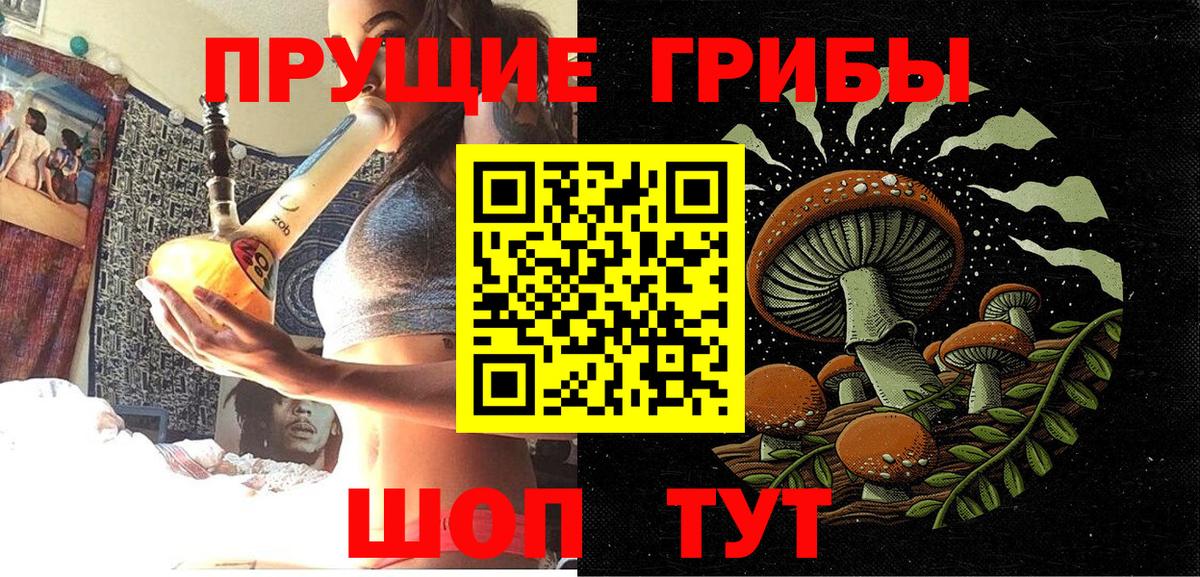 Псилоцибиновые грибы GOLDEN TEACHER  Вход с VPN  Павловский Посад 